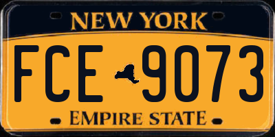 NY license plate FCE9073