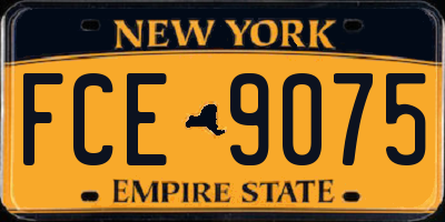 NY license plate FCE9075