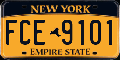 NY license plate FCE9101