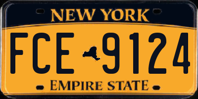 NY license plate FCE9124