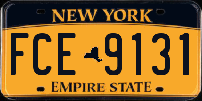 NY license plate FCE9131