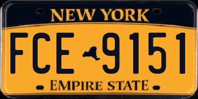 NY license plate FCE9151