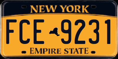 NY license plate FCE9231