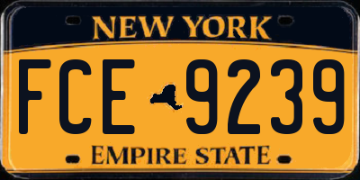 NY license plate FCE9239