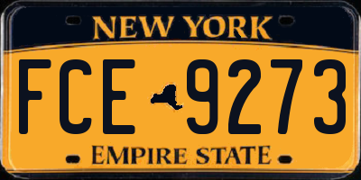 NY license plate FCE9273