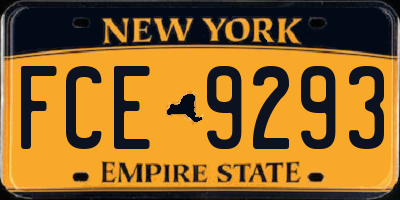 NY license plate FCE9293