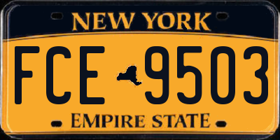 NY license plate FCE9503