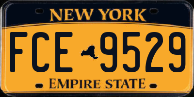 NY license plate FCE9529