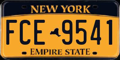 NY license plate FCE9541