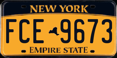 NY license plate FCE9673