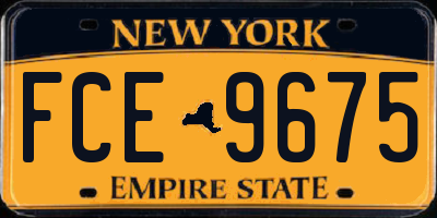 NY license plate FCE9675