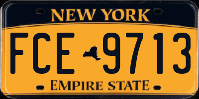 NY license plate FCE9713