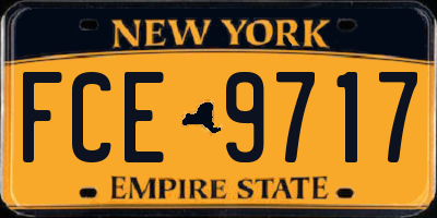 NY license plate FCE9717