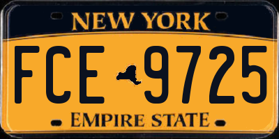 NY license plate FCE9725