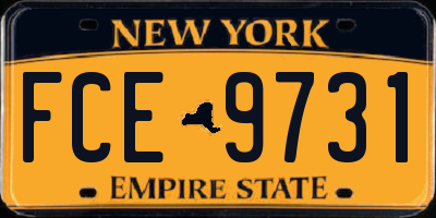 NY license plate FCE9731