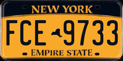 NY license plate FCE9733