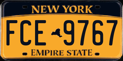 NY license plate FCE9767