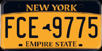 NY license plate FCE9775