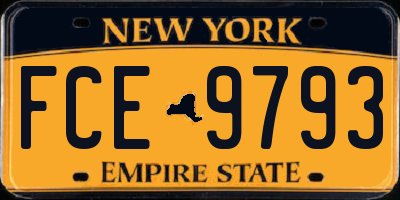 NY license plate FCE9793