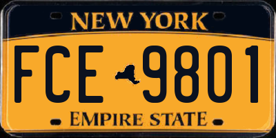 NY license plate FCE9801