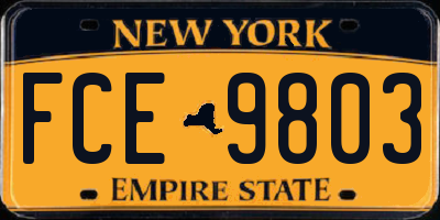 NY license plate FCE9803