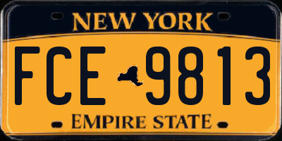 NY license plate FCE9813