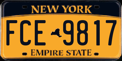 NY license plate FCE9817