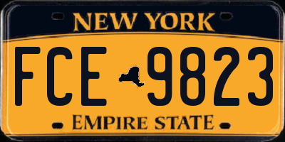 NY license plate FCE9823