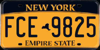 NY license plate FCE9825