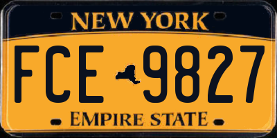 NY license plate FCE9827