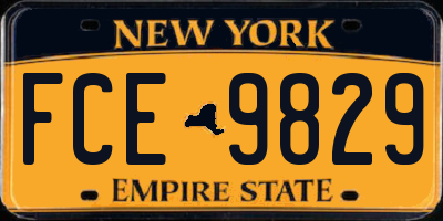 NY license plate FCE9829