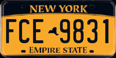 NY license plate FCE9831