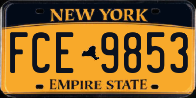 NY license plate FCE9853