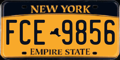 NY license plate FCE9856
