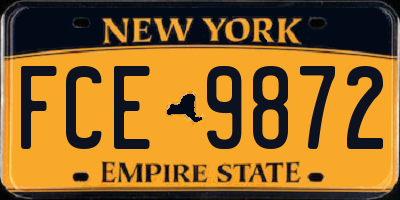 NY license plate FCE9872