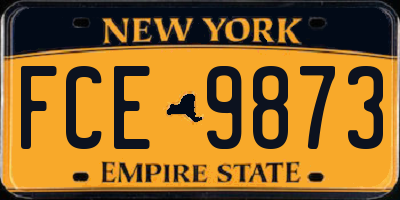 NY license plate FCE9873