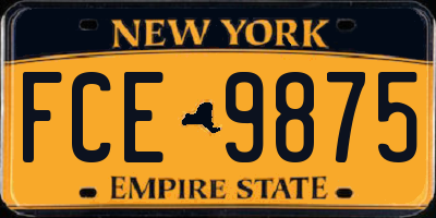 NY license plate FCE9875