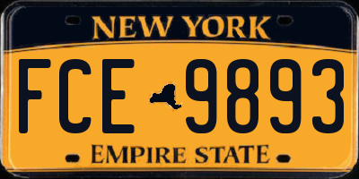 NY license plate FCE9893