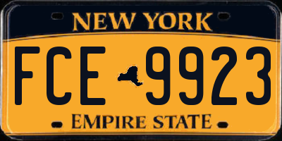 NY license plate FCE9923