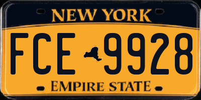 NY license plate FCE9928
