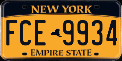 NY license plate FCE9934