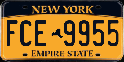 NY license plate FCE9955