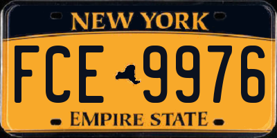NY license plate FCE9976