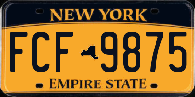 NY license plate FCF9875