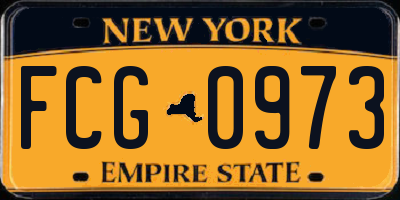 NY license plate FCG0973