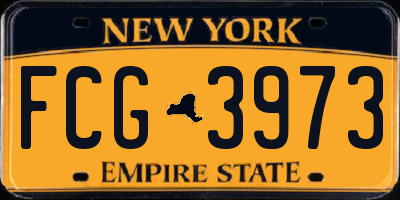 NY license plate FCG3973