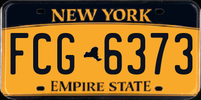 NY license plate FCG6373