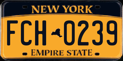 NY license plate FCH0239