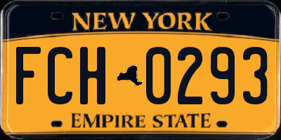 NY license plate FCH0293