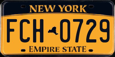NY license plate FCH0729